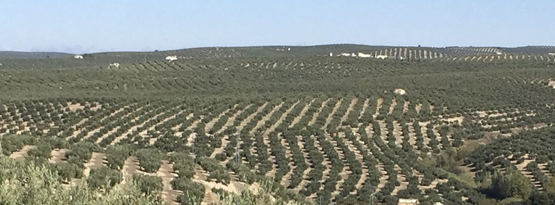 Anulación de las liquidaciones giradas por la junta de Andalucía a las comunidades de regantes de Motril y Salobreña por la tarifa de utilización de regadío