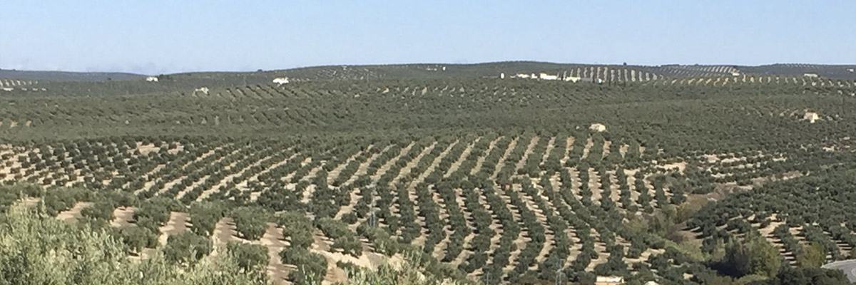 Anulación de liquidaciones de la tarifa de utilización del agua a comunidades de regantes de Motril y Salobreña